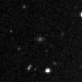 2020exq_image