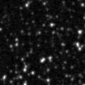 2020fbk_image
