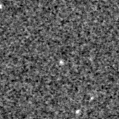 2020fbm_image