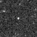2020fcf_image