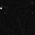 2020ffw_image