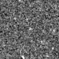 2020fgg_image