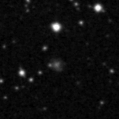 2020fln_image