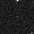 2020fmg_image