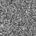 2020fqt_image