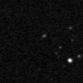 2020fsg_image