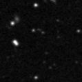 2020fwd_image