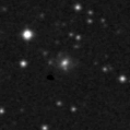 2020fxb_image
