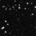 2020fxc_image