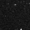 2020fxy_image