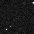 2020fzm_image
