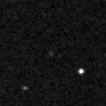 2020glm_image