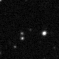2020gmv_image