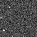2020goq_image