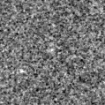 2020gps_image