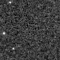2020hcl_image