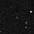2020hcp_image