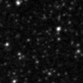2020hdl_image