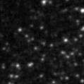 2020hdo_image
