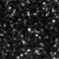 2020hdu_image