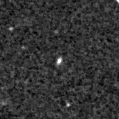 2020hho_image