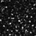2020hri_image