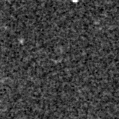 2020hrl_image