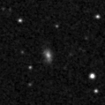 2020hsa_image