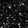 2020hyt_image