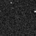 2020ibj_image