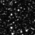 2020iek_image