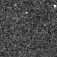 2020ivn_image