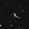 2020iwj_image