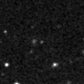 2020jgi_image