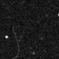 2020jii_image