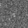 2020jnd_image