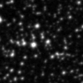 2020jsq_image