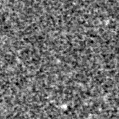 2020juv_image