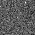 2020kxq_image