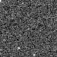 2020ldi_image