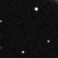 2020ldm_image