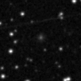 2020leh_image