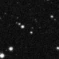 2020leo_image