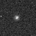 2020lhl_image