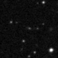 2020ljs_image