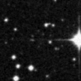 2020lny_image