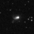 2020lod_image