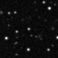 2020loj_image