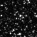 2020lpe_image