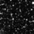 2020lpj_image